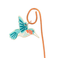 Mini Blue Hummingbird Plant Pic