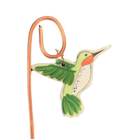 Mini Hummingbird Plant Pic