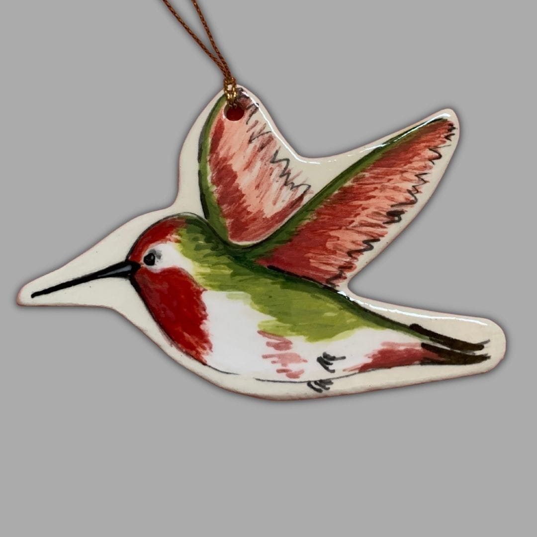 Hummingbird Plant Pic