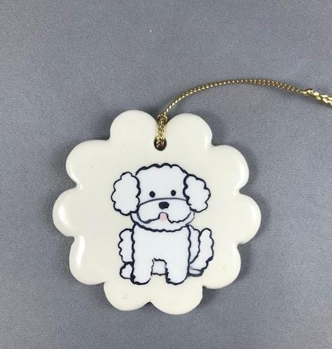 Bichon Frise