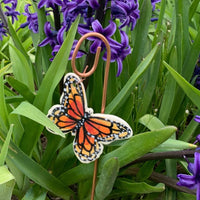 Monarch Butterfly Plant Pic