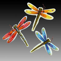 Dragonfly Plant Pics