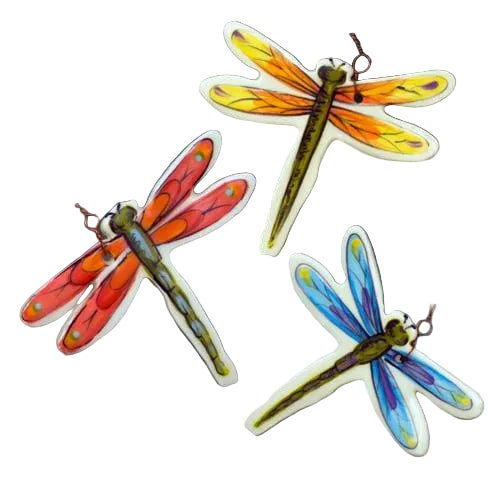 Dragonfly Plant Pics