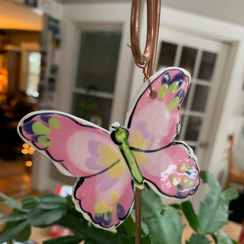 Pink Butterfly Plant Pic